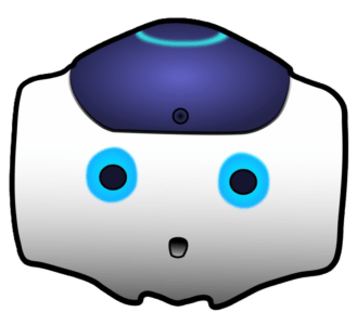 NAO ROBOT